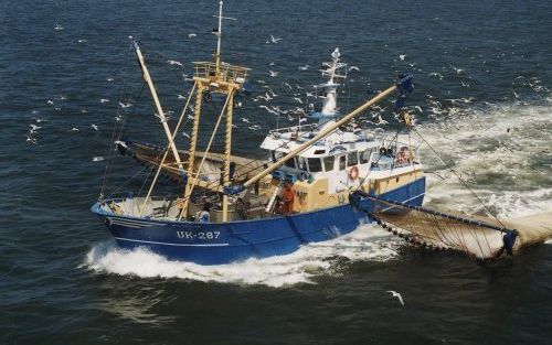 URK â€“ De eerste schepen van scholvissers blijven deze week in de haven omdat de quota vol zijn gevist. Voorzitter A. van Urk van vissersorganisatie PO Oost pleitte donderdag bij minister Veerman voor hogere quota of een zak met geld. Foto Flying Focus