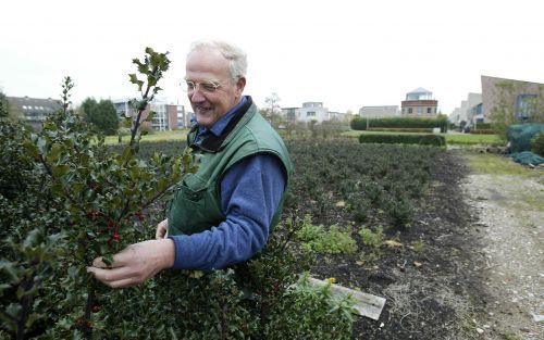 BOSKOOP â€“ Boomkweker Westdijk zit met negen andere Boskoopse kwekers in een coÃ¶peratie die een nieuwe woonwijk gaat ontwikkelen. Foto Martin Droog