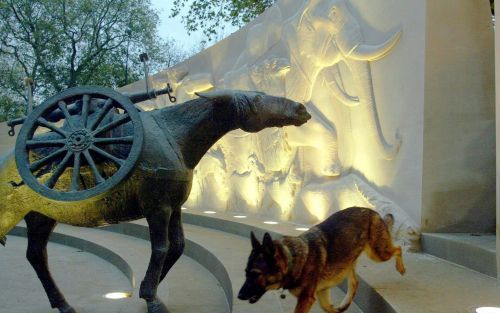 De Britse prinses Anne onthulde woensdag in Londen een monument voor dieren die zich in oorlogstijd verdienstelijk hebben gemaakt. Foto EPA.