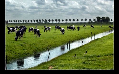 PURMEREND - Heeft de Nederlandse landbouw toekomst? Over die vraag dachten de deelnemers aan het jaarlijkse congres van het Agrarisch Dagblad donderdag na. Volgens minister Veerman moeten de agrariÃ«rs niet te veel van de overheid verwachten. „Wie daar na