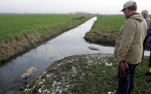 OOSTERBLOKKER - Boer De Boer uit Oosterblokker kijkt naar zijn dode schapen. De Boers schapen zijn donderdag aangevallen door de honden Wolf en Jackie uit Oostblokker.Foto: ANP