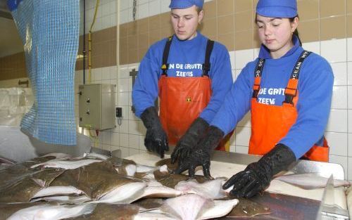 MIDDELBURG â€“ Vissers mogen volgend jaar Ã©Ã©n dag per maand minder naar zee. Verder zullen schepen die kabeljauw aan land brengen, scherper worden gecontroleerd. Dat zijn de belangrijkste punten uit het akkoord dat de EU ministers van Visserij vanmorgen