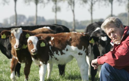 BEESD â€“ Dirk van Ieperen uit Beesd zette na 51 jaar een punt achter zijn loopbaan als veehandelaar. Hij schreef vervolgens een boek over die halve eeuw. „Het schuim van de handel is beter dan het vet van werken. Als boerenknecht verdiende ik op een lang