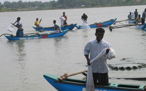 COLOMBO: Srilankaanse vissers durven de zee weer op. Foto ANP