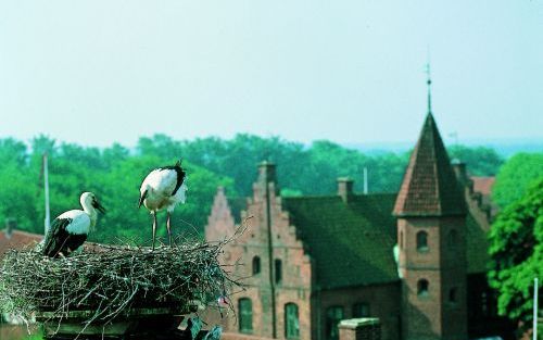 Tot enkele decennia geleden woonde in Denemarken een Friese minderheid. Het leefgebied van deze Friezen sloot geografisch aan op het Duitse Noord Friesland aan de Waddenkust in Sleeswijk Holstein. Foto RD