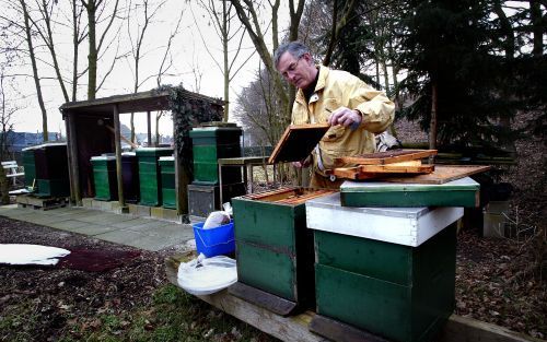 MOOK â€“ Het voortbestaan van de imkerij staat onder druk. Volgens Frans Heessen, voorzitter van de Limburgse Bond van Imkers, laat de overheid de bijenhouders in de kou staan. Zo staakte ze met ingang van gisteren de bestrijding van Amerikaans vuilbroed,