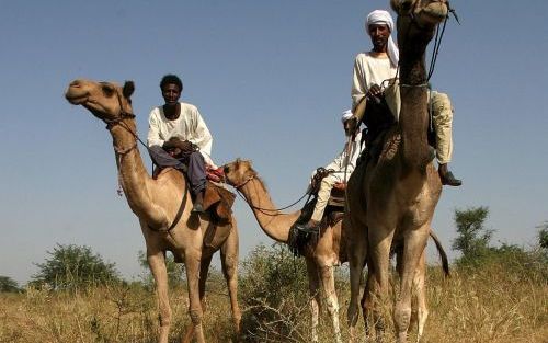 WEST DARFUR â€“ In de Sudanese woestijn verplaatsen leden van de Arabische Janjaweed zich meestal per kameel. Musa Hilal, een van de leiders van de militie, heeft toegegeven dat de aanvallen van de Janjaweed op de bevolking door de Sudanese regering werde