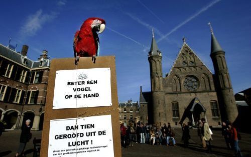 DEN HAAG â€“ Nederland moet de grenzen sluiten voor in het wild gevangen exotische vogels als papegaaien. De Stichting Papegaaien en Parkieten Welzijn (SPPW) vindt het ethisch niet acceptabel om mee te werken aan deze handel. Leden van de stichting boden 