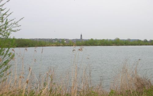 LIENDEN â€“ Natuurgebied de Marspolder bij het Betuwse Lienden met zicht op de toren van de Cunerakerk in Rhenen dat aan de overkant van de Neder Rijn ligt. Omwonenden, regionale overheden en natuurclubs verzetten zich tegen de â€“voorlopigeâ€“ plannen va