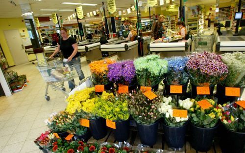 APELDOORN â€“ Bloemen in de supermarkt. Dat zal volgens Bloemenveiling Aalsmeer de komende jaren alleen maar vaker voorkomen. De grootwinkelbedrijven worden een steeds belangrijker afnemer van bloemen en planten. Foto RD, Anton Dommerholt