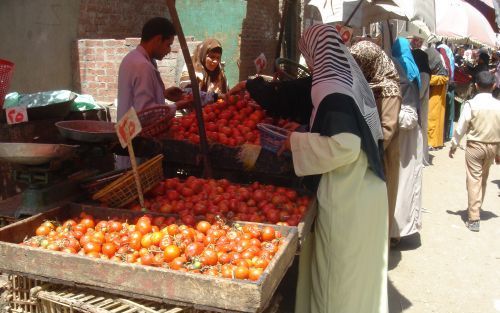 CAIRO â€“ Gesluierde vrouwen doen hun wekelijkse inkopen op een van de vele markten in CaÃ¯ro. Vooral rond de islamitische feestdagen is het een drukte van belang. Foto RD