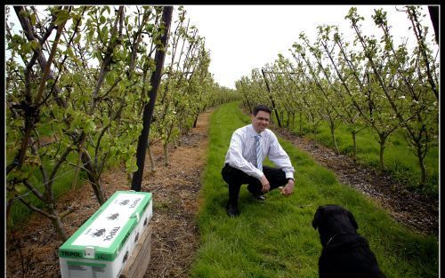 WOERDEN â€“ Markus Huurman van het in biologische gewasbescherming gespecialiseerde Koppert BV in de boomgaard van een fruitteler in Woerden. De huidige misÃ¨re in de bijenhouderij bracht medewerkers van Koppert op het idee een nestkast te ontwikkelingen 