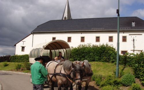 De Ardenner trekpaarden hebben zin in een tochtje. Foto's RD