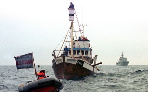 „Het is stuitend hoe Nederland zijn eigen stelling ten aanzien van die wetenschappelijke walvisjacht ondergraaft.” Foto EPA