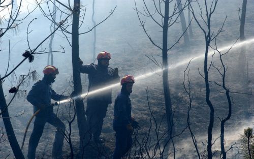 MAFRA â€“ Portugese brandweerlieden proberen uit alle macht bosbranden te beheersen. Maandag raakten dertien brandweermannen gewond bij de bestrijding van een grote brand in het midden van het land. De bosbranden hebben al duizenden hectaren bos in de as 