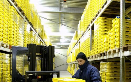 LELYSTAD â€“ Irek Kroll van Marfo: „Onze heftrucks zijn verwarmd. Maar je staat er meer naast dan dat je er in zit.” Foto RD, Henk Visscher