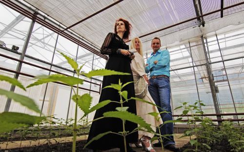 EMMELOORD â€“ Onder de merknaam ”Brennels” stapt de ondernemende familie CrÃ©bas in de productie van kleding die is gemaakt van brandnetelvezels. Zoon Frank CrÃ©bas (r.) â€“oud-directeur van de populaire veilingsite Marktplaats.nlâ€“ richt zich volledig o