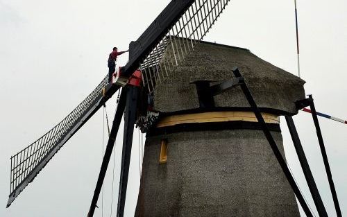 KINDERDIJK â€“ Een man inspecteert de plek waar de afgebroken wiek van de Kinderdijkse molen De 7 van Neder waard heeft gezeten. De wiek brak op 1 juli plotseling af. Foto ANP