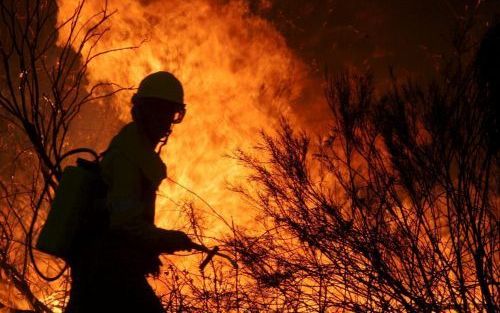 TRABAZOS â€“ Een Spaanse brandweerman probeert het vuur te bestrijden bij de grens tussen Spanje en Portugal. Foto EPA