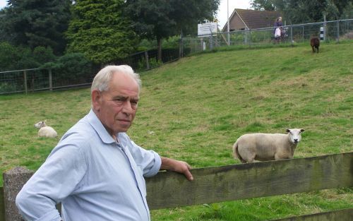 WOUBRUGGE â€“ Veedieven haalden bij agrariÃ«r P. de Wit uit Woubrugge 23 schapen uit het weiland. „Het afgelopen jaar was het hier in de buurt regelmatig raak, maar een hele koppel tegelijk stelen hebben de dieven niet eerder gedaan.” Foto RD