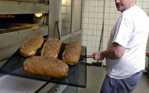 MIDDELBURG â€“ Zweten voor gloeiende ovens. Bakker Sam Maljaars werkt onder tropische omstandigheden. „Veel drinken is belangrijk. Water. En koffie natuurlijk.” Foto RD, Henk Visscher