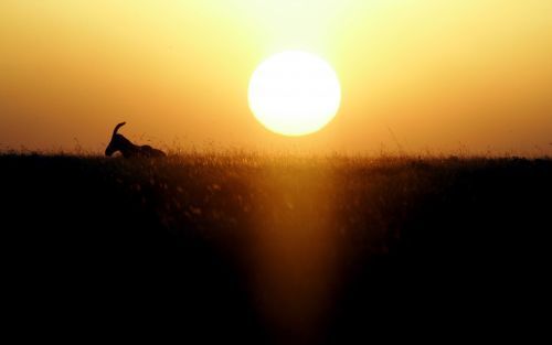 „De schepping is van meet aan geen harmonische kosmos, maar een wereld onder het kruis, onder het teken van het oordeel.” Foto ANP