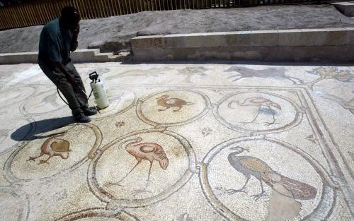 In de IsraÃ«lische stad Caesarea is een zesde eeuws vogelmozaÃ¯ek blootgelegd. De vloer dankt zijn naam aan de 120 cirkels met vogels. Foto's EPA/IsraÃ«lische Oudheidkundige Dienst