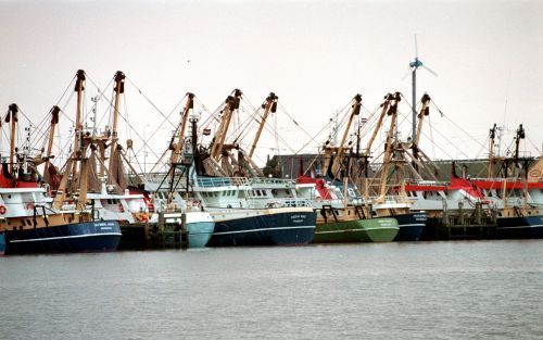 STELLENDAM â€“ De haven van Stellendam. Kotters liggen met hun achterkant naar de zee. Stellendam is volgens de Rekenkamer een van de plaatsen waar het schort aan grenscontroles. Archieffoto Roel Dijkstra