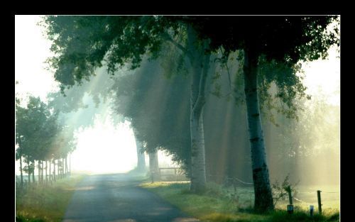 „Sommigen beweren dat de zon dus al bestond op de eerste, de tweede en de derde dag. Maar een dag moet niet beschouwd worden als de tijd tussen het opgaan en ondergaan van de zon. De Heere gaf de zon en de maan als tekenen om de tijd te markeren. Om schei