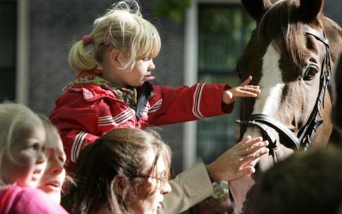 HAARLEM - Een meisje streelt het hoofd van een politiepaard tijdens de landelijke politiedag in Haarlem. Zaterdag werd het publiek in het gehele land in staat gesteld om uitgebreid kennis te maken met de politie. Foto ANP