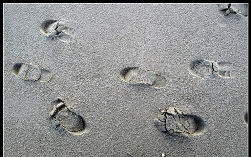 „De Schepper formeerde de mens uit het stof der aarde, wat niet van de dieren gezegd wordt, en Hij schiep de mens naar Zijn beeld. Ook dat geldt niet van de dieren.” Foto RD, Henk Visscher