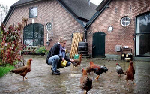 WELSUM â€“ Jinke Hesterman uit het Overijsselse Welsum is hobbydierhouder en hoofdredacteur van het magazine voor hobbydierhouders Levende Have. Ook is ze adviseur van de Nederlandse Belangenvereniging voor HobbyDierhouders. Er zijn volgens haar veel vrag