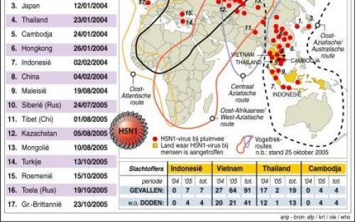 Verspreiding vogelgriepvirus H5N1. Foto ANP