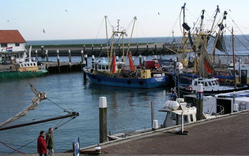 OUDESCHILD â€“ De visserij op Texel is fel gekant tegen het toekennen van de status van werelderfgoed aan het Waddengebied. Vissers vrezen een inperking van hun mogelijkheden. „Dit is de zoveelste poging de visserman aan banden te leggen.” - Foto RD