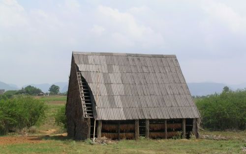 Een van de vele tabaksschuren in de Viñalesvallei. Foto HVC