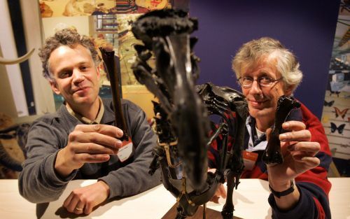 LEIDEN â€“ Dr. Frans Bunnik (r.) en dr. Kenneth Rijsdijk van een Nederlands Mauritiaans onderzoeksteam tonen twee botten van de dodo die zij op het eiland Mauritius hebben opgegraven. Tussen hen in een replica van een dodo. Het gevonden materiaal is waars