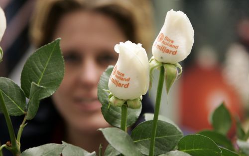 NAALDWIJK â€“ Bloemenveiling FloraHolland in Naaldwijk bereikte donderdagochtend voor het eerst in haar geschiedenis een jaaromzet van 2 miljard euro. De winst over dit jaar wordt geschat op ongeveer 8 miljoen euro voor belasting. Algemeen directeur Jacqu