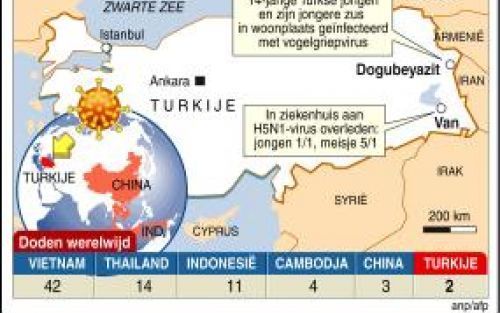 Tweede dode door vogelgriep.Graphic ANP