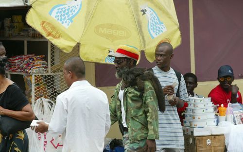 De Surinaamse minister van Toerisme, A. Amafo, komt dinsdag naar de Jaarbeurshallen om de Vakantiebeurs 2006 officieel te openen tijdens de vak-en persdag. Suriname maakt deel uit van een nieuwe generatie landen die in het toerisme kansen ziet voor econom