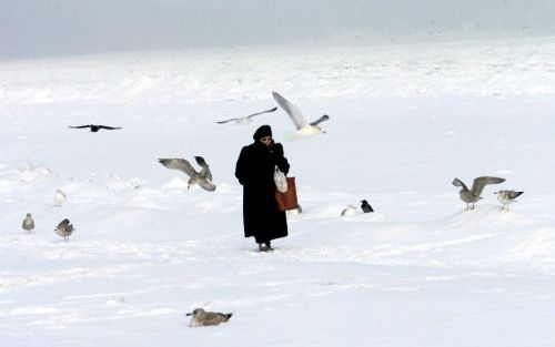 SOPOT â€“ Een vrouw in Sopot, in het noorden van Polen, aan de kust van de Baltische Zee, voert zeemeeuwen. De temperatuur in het Oost-Europese land bereikte het afgelopen weekend waarden beneden de -20 graden Celsius. Foto EPA