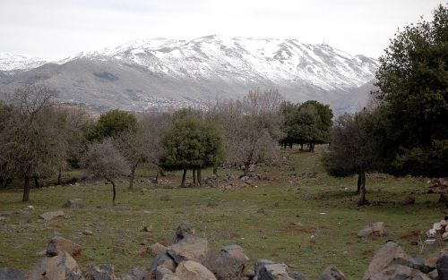 De Hermon in het noorden van de Golan is zes maanden per jaar met sneeuw bedekt. Veel IsraÃ«liÃ«rs skiÃ«n op deze berg. Foto Alfred Muller