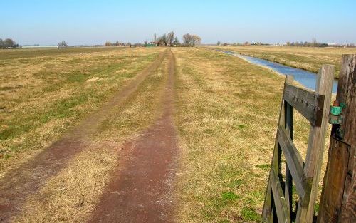 VLAARDINGEN â€“ Het karakteristieke weidelandschap in het poldergebied ten noorden van Vlaardingen en Schiedam dreigt gedeeltelijk te verdwijnen ten gunste van stedelingen die een recreatief uitje in de buurt willen maken. Een actiecomitÃ© verzet zich teg