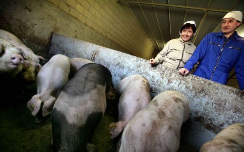 WINTERSWIJK â€“ Nu in het Duitse Borken, ongeveer 15 kilometer over de grens bij Winterswijk, varkenspest is uitgebroken probeert Henk Wikkerink „alle risico’s uit te sluiten.” De varkenshouder, tevens voorzitter van de Varkensvakgroep LTO Noord (afdeling