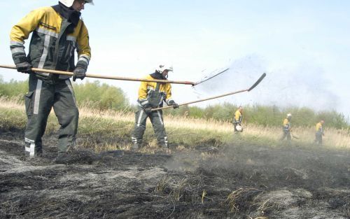 RILLAND â€“ Een Zeeuws natuurgebied bij Rilland lag vrijdag letterlijk onder vuur. Door een brand ging ongeveer 2 hectare van het natuurgebied in vlammen op. De brandweer rukte met ruim dertig mensen uit om het vuur te blussen. Foto Willem Woznitza