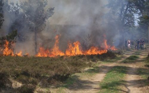 UDDEL â€“ Op de Veluwe bij Uddel heeft zaterdagmiddag een flinke brand gewoed. Zeker 100 hectare bos, heide en grasland is ten prooi gevallen aan de vlammen. Het vuur werd door de wind aangewakkerd. Foto ANP