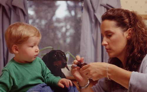 „Een hond bijt niet zomaar. Als ouders meer zouden weten over hoe honden naar kinderen kijken, zou veel leed voorkomen kunnen worden.” Foto ANP