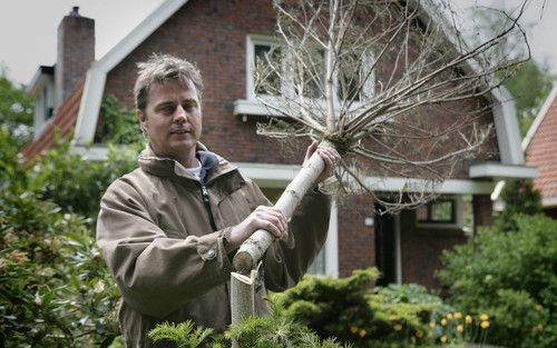 ZUID LAREN â€“ Franck van Leeuwen uit Zuidlaren bij de omgezaagde boom in zijn tuin. De inwoners van het Drentse dorp tasten in het duister over de motieven van de mysterieuze bomenzager. „Een inbreker kan ik nog begrijpen, maar dit is volstrekt zinloos.”