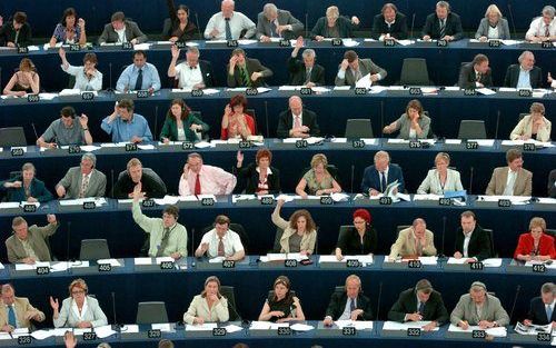 STRAATSBURG â€“ Tijdens een debat over stamcelonderzoek in het Europees Parlement in Straatsburg, dinsdag, bleek hoezeer ethische standpunten de verschillende fracties verdelen. Foto EPA