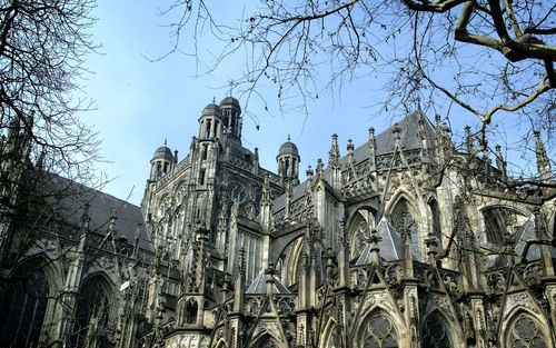 DEN BOSCH â€“ Zwermen spreeuwen strijken sinds ruim een week iedere avond neer op de Sint Jan in Den Bosch. Foto RD, Henk Visscher