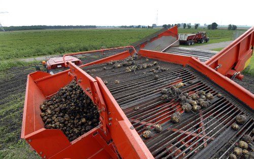 TER APELKANAAL â€“ Een boer uit het Groningse Ter Apelkanaal rooit zijn aardappelen. Aardappelzetmeelconcern Avebe is maandag begonnen met de verwerking van de aardappeloogst. Een deel van de oogst heeft last van doorwas: als gevolg van de vele regen die 